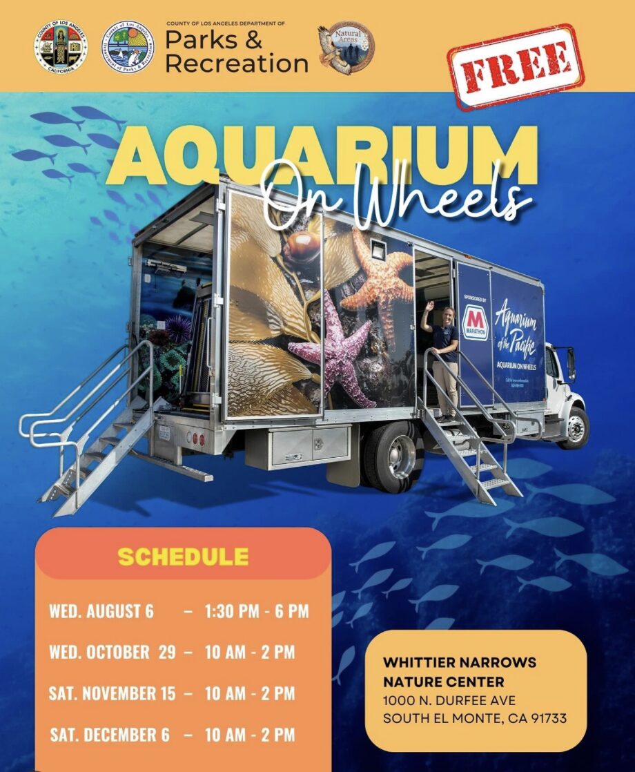 aquariiumOW