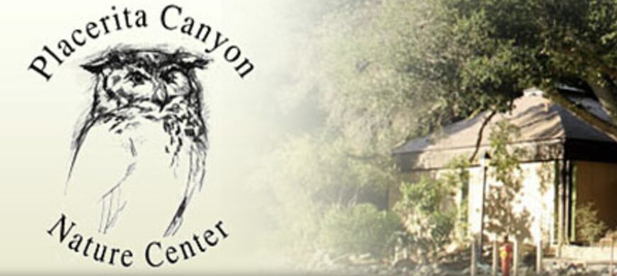 Placerita Canyon